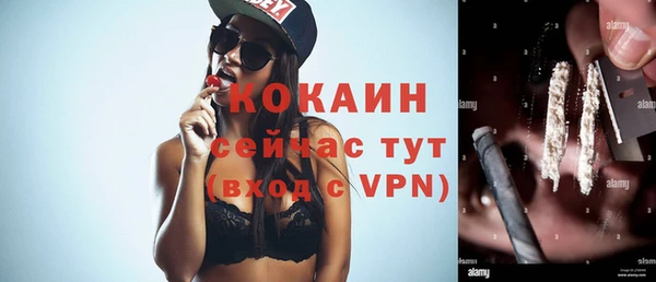 гашик Гусев