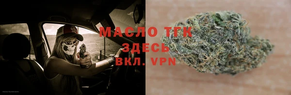 гашик Гусев
