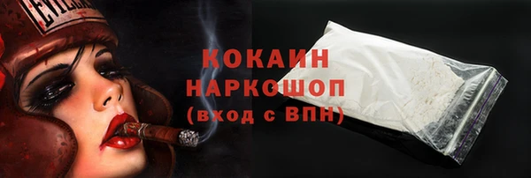 гашик Гусев
