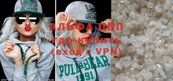 гашик Гусев