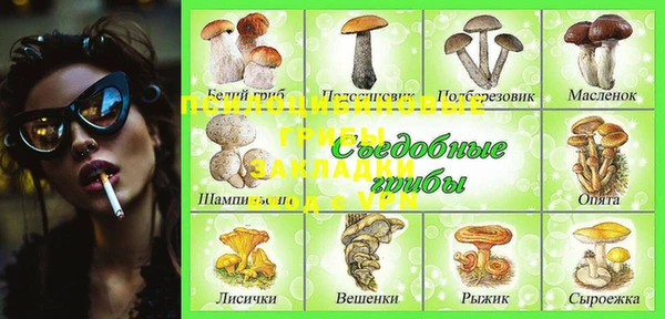 гашик Гусев