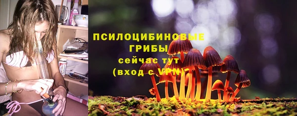 наркотики Гусь-Хрустальный