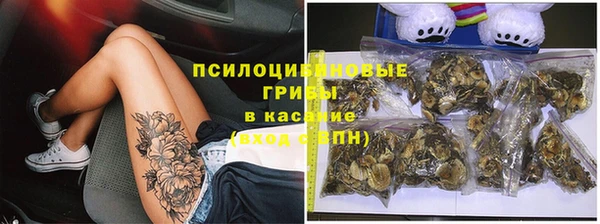 гашик Гусев