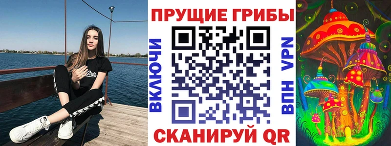 Галлюциногенные грибы Psilocybe  наркошоп  omg зеркало  Пикалёво 
