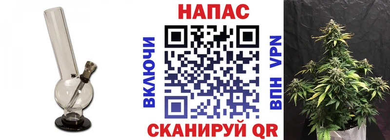 Бошки марихуана сатива  Пикалёво 